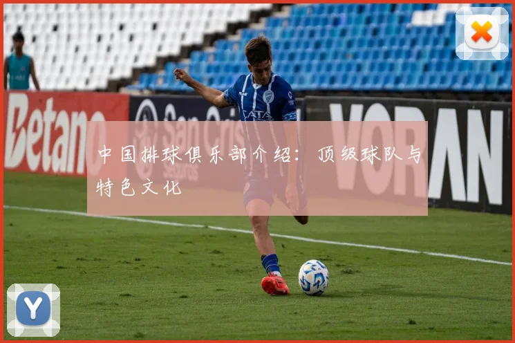 中国排球俱乐部介绍：顶级球队与特色文化