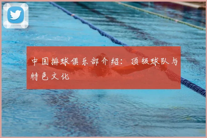 中国排球俱乐部介绍:顶级球队与特色文化